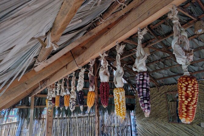 a day in the life of a Zapotec village - From Oaxaca City to San Dionisio Ocotepec (8:30 am Start)