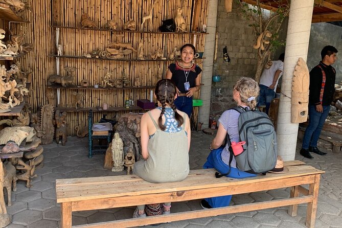Alebrije Painting Workshop in San Martín Tilcajete with Pickup - Timing reality: where the experience can feel rushed
