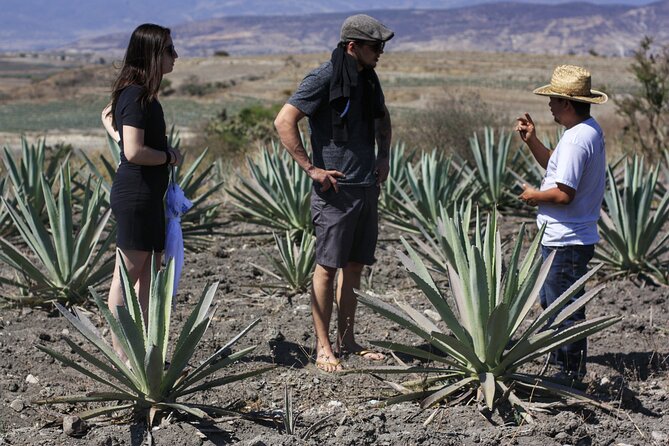 Artisanal Mezcal distillery in an authentic Zapotec village - Zapotec breakfast of bread and chocolate: simple, filling, and local