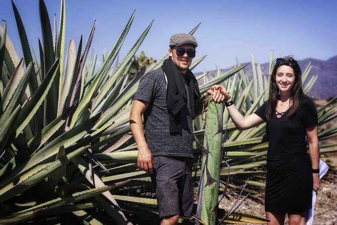 Artisanal Mezcal distillery in an authentic Zapotec village - The artisanal mezcaleria visit: what you’re actually there to learn