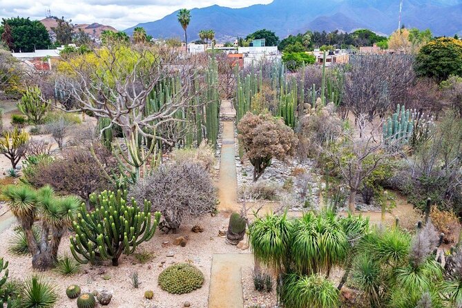 AUTHENTIC OAXACA CULTURAL FOOD TOUR, eat like a local. - Andador de Macedonia Alcala: the walk between flavors