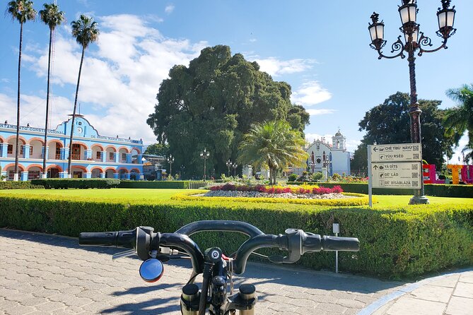 Bike Ride to the Largest Tree in the World - Key highlights to know before you ride