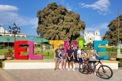 Bike Ride to the Largest Tree in the World - The ride out: 10 km mostly flat, shaded, and on dedicated lanes