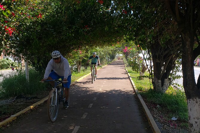 Bike Ride to the Largest Tree in the World - The ride back to Oaxaca: same easy approach, new eyes