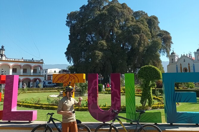 Bike tour to the Tule Tree and the Gastronomic Market - Key points at a glance