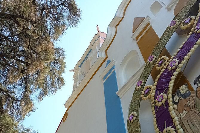 Bike tour to the Tule Tree and the Gastronomic Market - Small-group energy: why Daniel’s guiding style matters