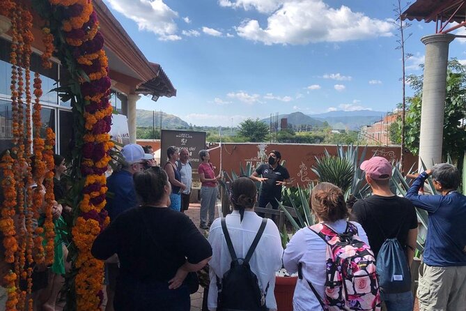 Boil the Water and Distillery of Mezcal Tour - Pacing and group size: why this day feels balanced for most people