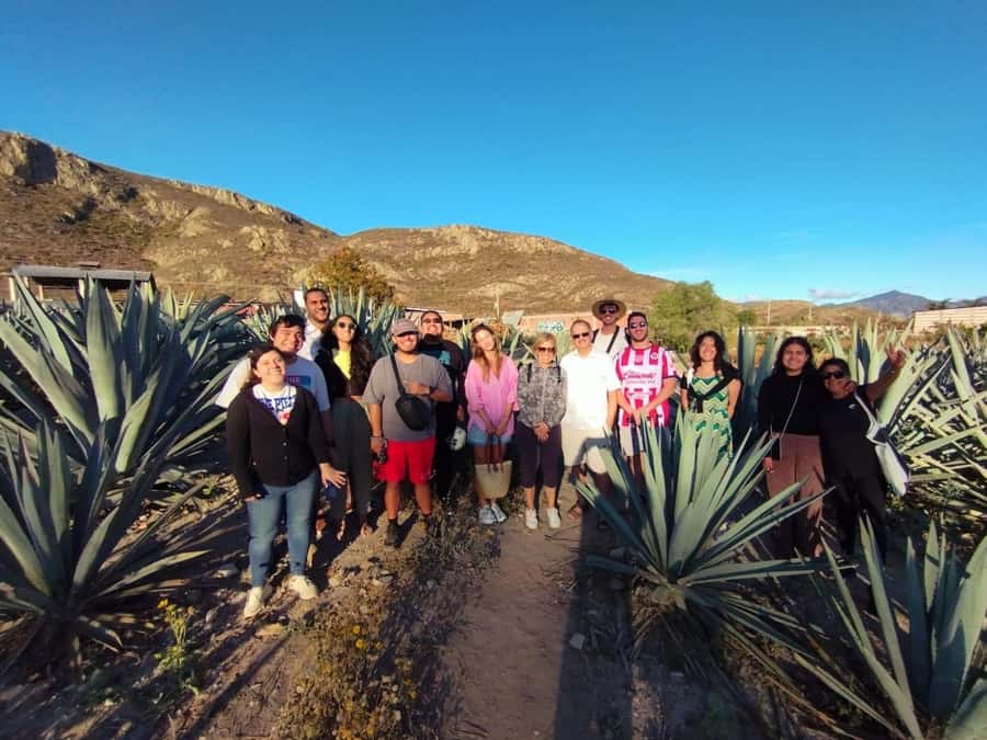 Check out Hierve el Agua, Mitla, the Tule Tree, Rugs, and a Mezcal Distillery Tour - Hierve el Agua: petrified waterfalls and the heat reality check