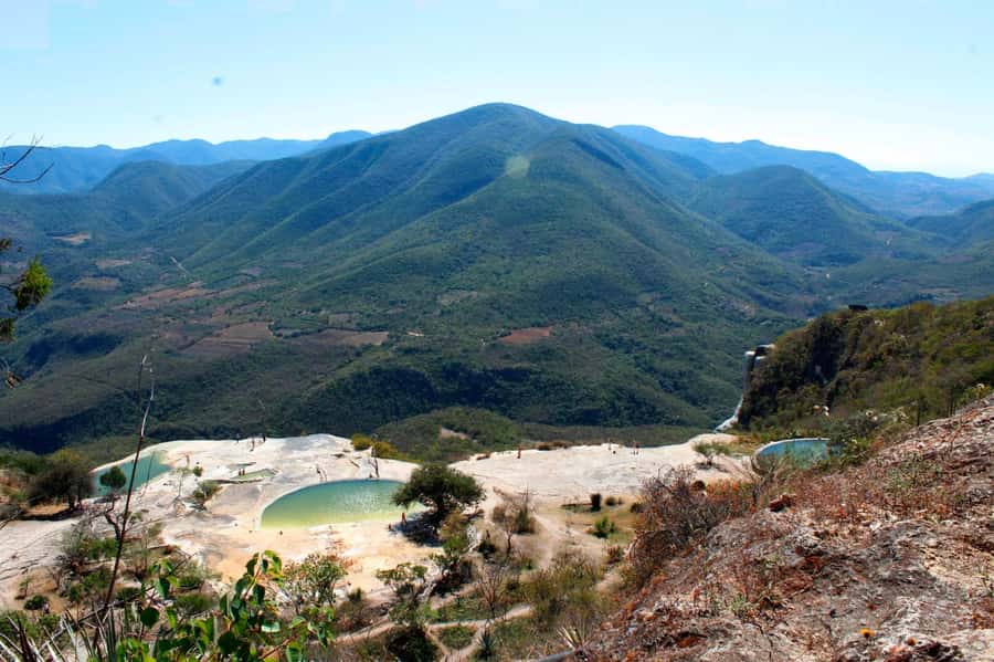 Check out Hierve el Agua, Mitla, the Tule Tree, Rugs, and a Mezcal Distillery Tour - The mezcal distillery finale: tasting that compares rather than overwhelms