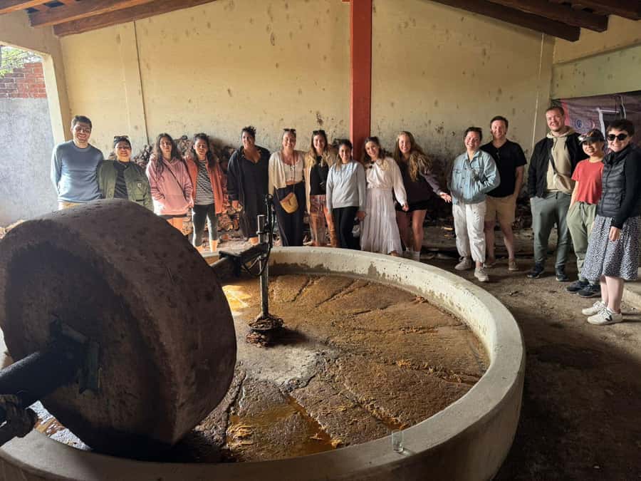 Check out Hierve el Agua, Mitla, the Tule Tree, Rugs, and a Mezcal Distillery Tour - Price and value: what $49 really buys in Oaxaca