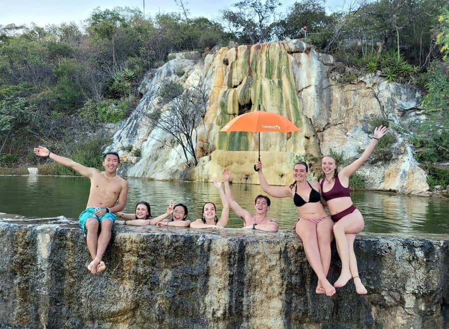 Check out Hierve el Agua, Mitla, the Tule Tree, Rugs, and a Mezcal Distillery Tour - Árbol del Tule: the quick stop that still feels oversized
