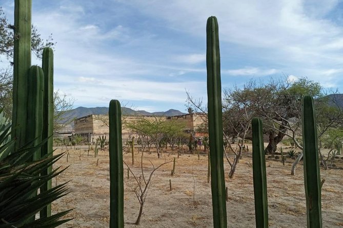 Combo two-day tours, Hierve el Agua Full day and Monte Alban full day - Guides, Explanations, and the Human Side of the Day
