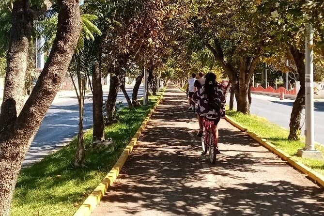 Cycle to the millenary tree "El Tule" - Who should choose this bike tour to El Tule