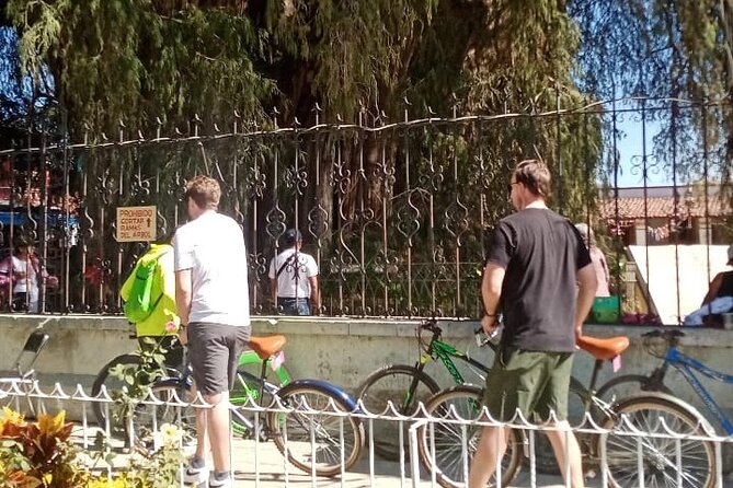 Cycle to the millenary tree "El Tule" - Who might want a different option