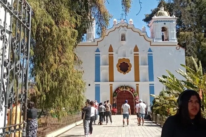 Cycle to the millenary tree "El Tule" - The ride there: city streets, mountain hints, and real road caution
