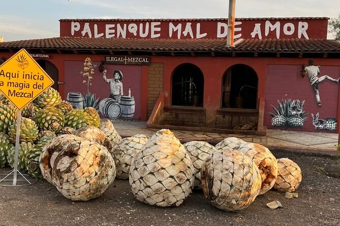 Distillery Tour and Agave Fields by Mal de Amor Mezcal - Key things I’d bank on before you go