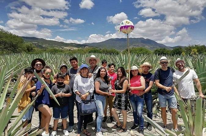 Distillery Tour and Agave Fields by Mal de Amor Mezcal - Stop 2: Guided Mezcal Tasting With Categories, Agaves, and Organs of Flavor