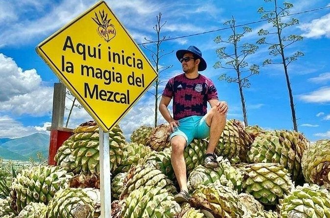 Distillery Tour and Agave Fields by Mal de Amor Mezcal - Price Check: Is $71.73 Good Value?