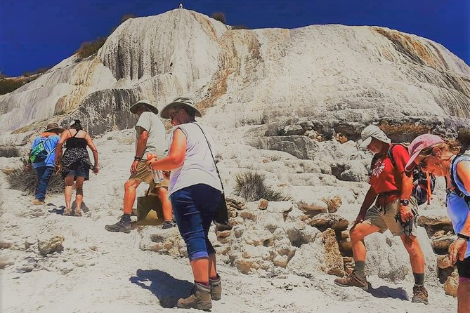 Exclusive Private Tour: Hierve el Agua with Hike, Mezcal & Gastronomy - Mezcal Don Agave: Learning the Agaves and Tasting the Process