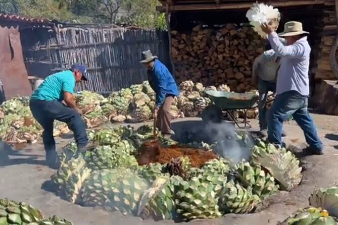 Experience the Mezcal Tour in Oaxaca - Oaxaca Mezcal Tour: what kind of day is this?