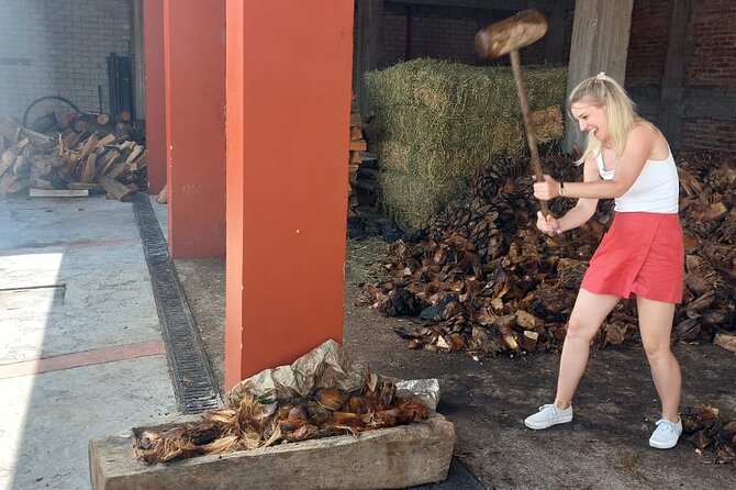 Experience the Mezcal Tour in Oaxaca - Stop 2 in Santiago Matatlán: family-run palenque, agave fields, and rare varietals