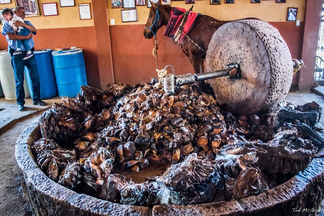 Experience the Mezcal Tour in Oaxaca - Guides make it: Christian, Ramy, and Ramiro set the tone