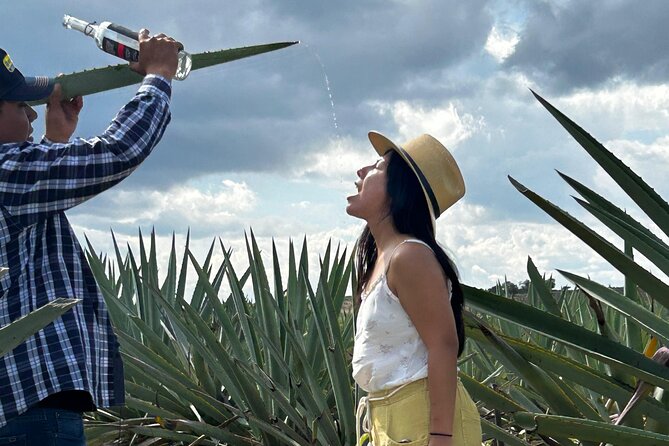 Explore Hierve el Agua, Mitla, Tule, Textile and Mezcal for a day - El Rey de Matatlan Mezcal: From Agave Cooking to Tasting