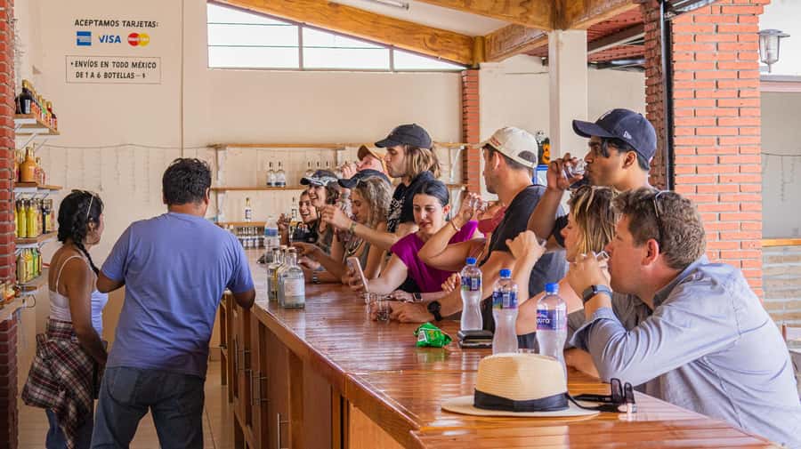 From Oaxaca de Juarez: Hierve el Agua and Mezcal Distillery - Who should book this tour (and who should skip it)