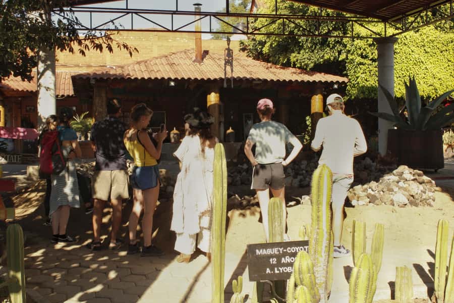 From Oaxaca de Juarez: Hierve el Agua and Mezcal Distillery - Why this Hierve el Agua and mezcal combo is worth your time