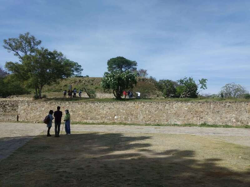 From Oaxaca: Monte Alban, Alebrijes & Black Clay Day Trip - Food tasting and the Oaxacan buffet: what to budget and how to time it