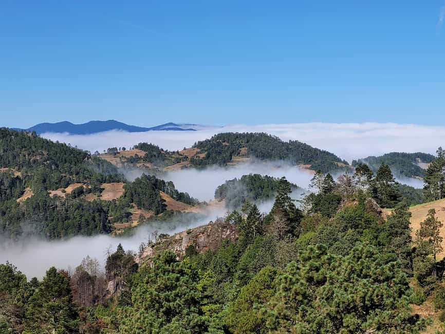 From Oaxaca: Sierra Norte Hike & Indigenous Village Full-Day - Breakfast in the mountains: memelas and coffee before you hike