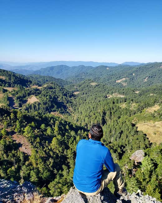 From Oaxaca: Sierra Norte Hike & Indigenous Village Full-Day - The cloud-forest hike: 8 km of ferns, giant agaves, and viewpoints