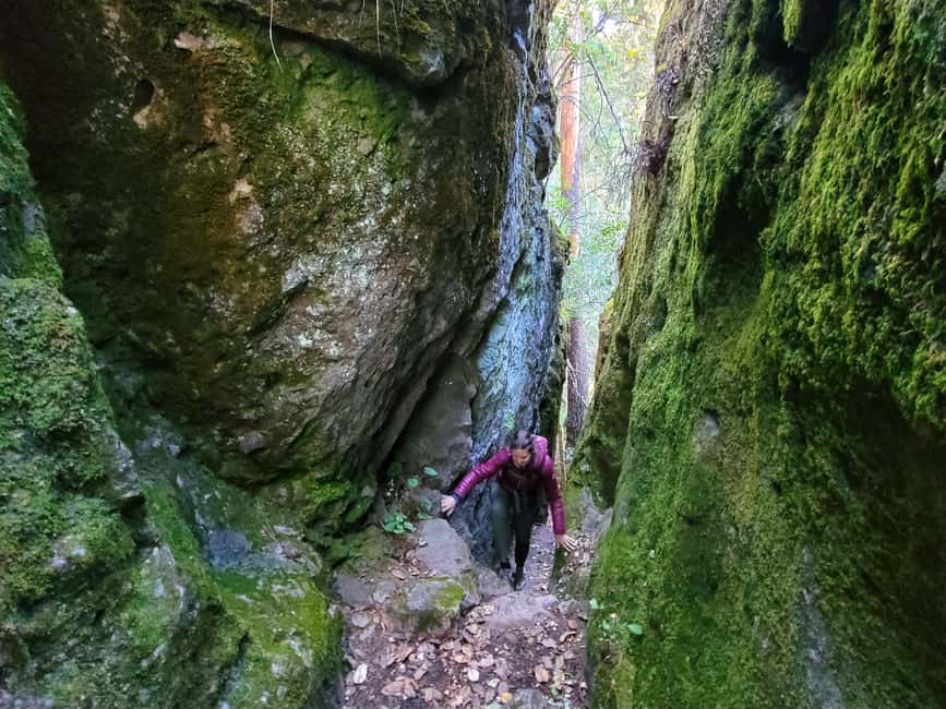 From Oaxaca: Sierra Norte Hike & Indigenous Village Full-Day - Indigenous village time: why a community guide changes everything
