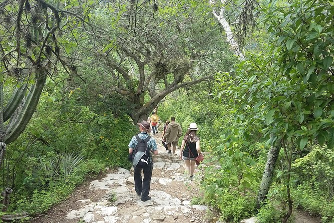 Hierve el Agua Early Tour with Pickup + smoke-kitchen - Should you book this Hierve el Agua early tour with smoke-kitchen?