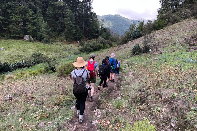 Hike el Camino Real, Latuvi – Lachatao - Camino Real, Latuvi–Lachatao: What You’re Really Signing Up For