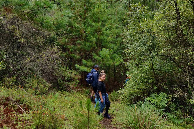 Hike el Camino Real, Latuvi – Lachatao - Price and Value: Is $269 Worth It?