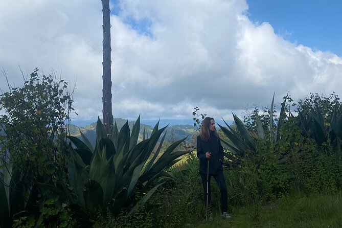 Hike in the Sierra Norte, Cuajimoloyas - Cuajimoloyas in the Sierra Norte: why this day trip works
