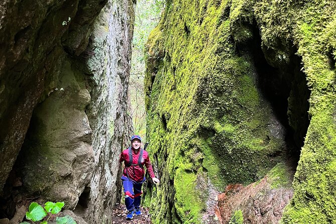 Hike in the Sierra Norte, Cuajimoloyas - Price and group size: what you’re really paying for at $215.20