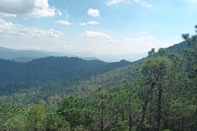 Hiking in Sierra Norte the most spectacular trails in Oaxaca - The coffee/tea turnaround stop: small detail, big comfort