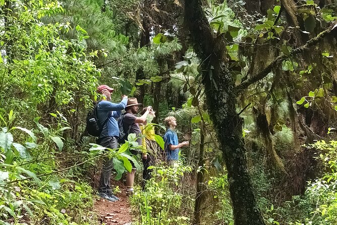 Hiking in Sierra Norte the most spectacular trails in Oaxaca - Restaurante Colibrí in Sierra Norte: refuel, but plan for extra cost