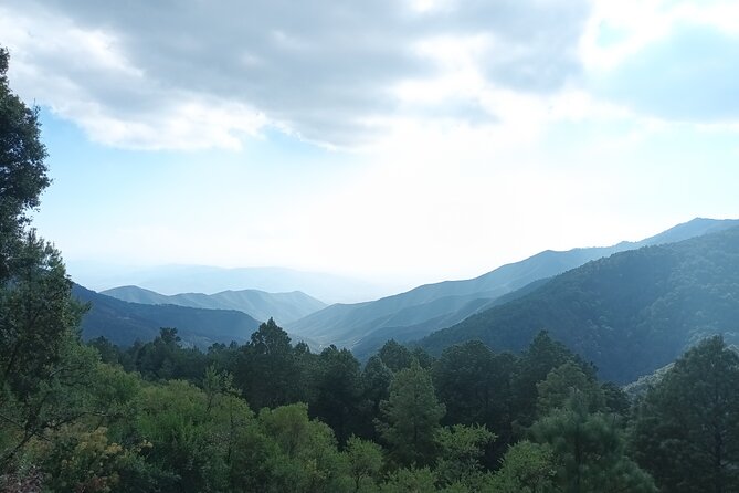 Hiking in Sierra Norte the most spectacular trails in Oaxaca - Price and value: $53.73 for the ride, guide, and entrance fee