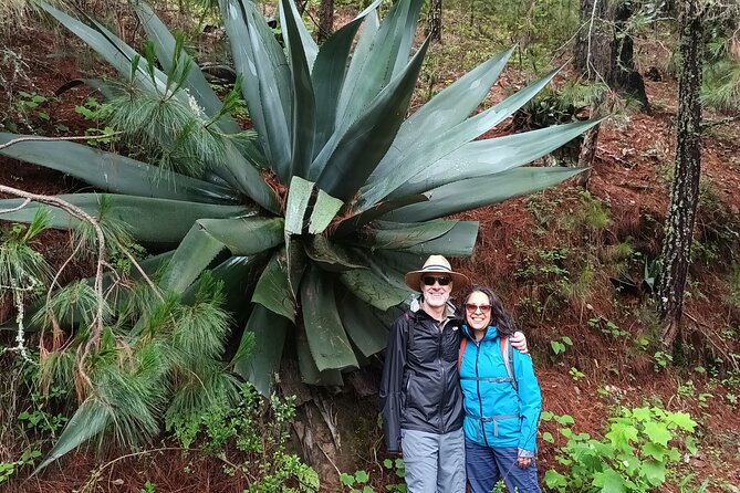 Hiking in Sierra Norte the most spectacular trails in Oaxaca - Mercado Sánchez Pascuas: your warm-up meal before the trail