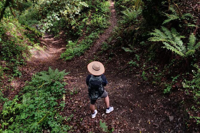 Hiking in the Sierra Norte of Oaxaca - Quick hits before you lace up