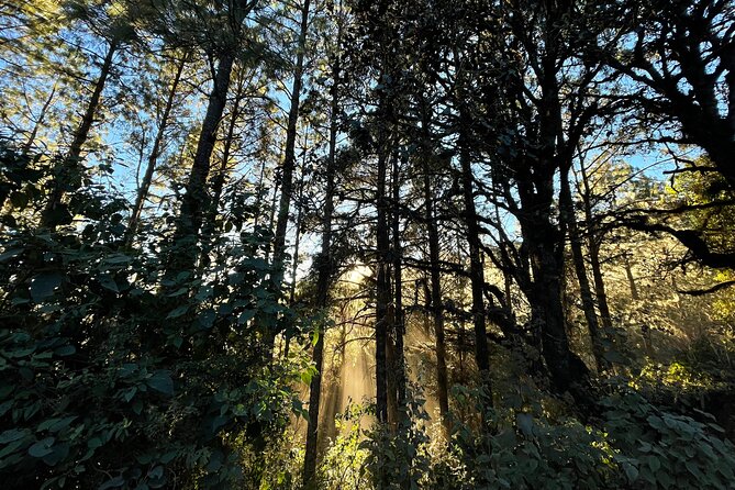 Hiking in the Sierra Norte of Oaxaca - Breakfast in Cuajimoloyas: fueling a full day the right way
