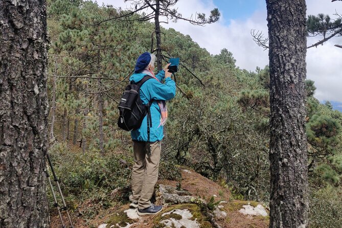 Hiking in the Sierra Norte of Oaxaca - Pine-oak Sierra Norte at 2,800–3,100 m: altitude plus microclimates