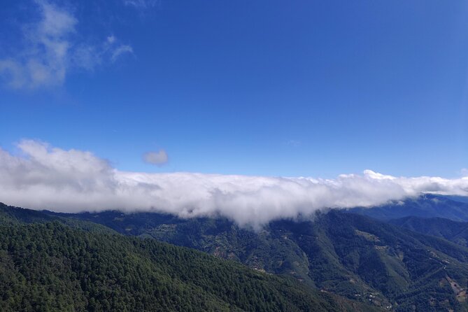 Hiking in the Sierra Norte of Oaxaca - After the hike: village meals, late lunches, and the trout factor