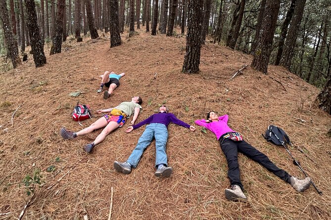 Hiking in the Sierra Norte of Oaxaca - Small-group pacing: the good news and the one thing to manage