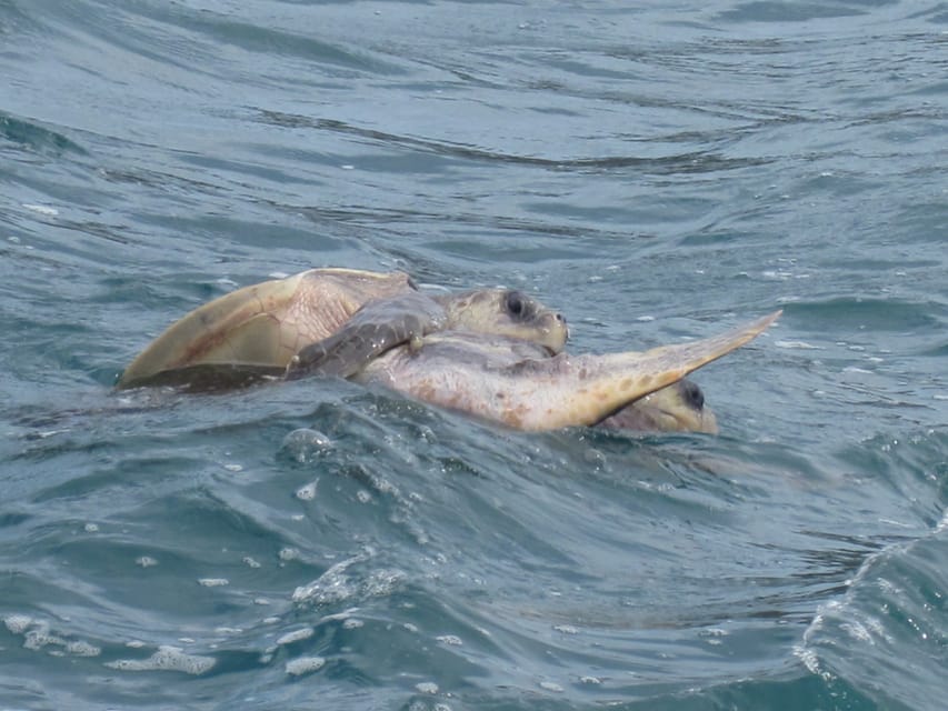 Huatulco: Premium Boat Tour with snorkel experience. - The beachfront restaurant stop: great relaxation time, but plan for extra spending