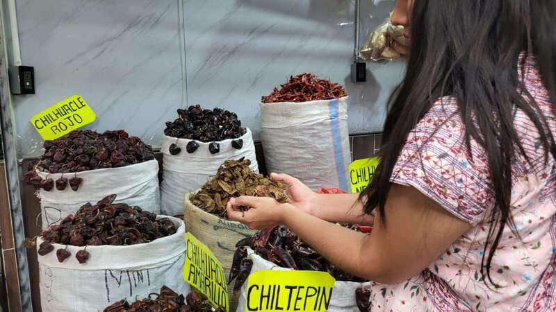Mexico: Salsa Making Class in a Market with a Chef - Oaxaca salsa class starts with Etnofood and a chili-first plan