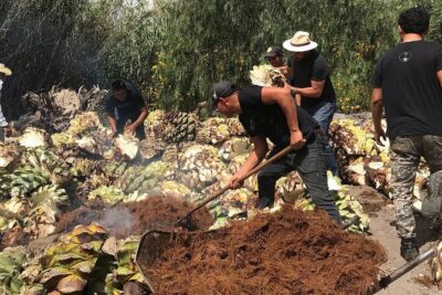 Mezcal Tour Oaxaca - Working distillery visits in Santiago Matatlán and Tlacolula: what you’re really seeing